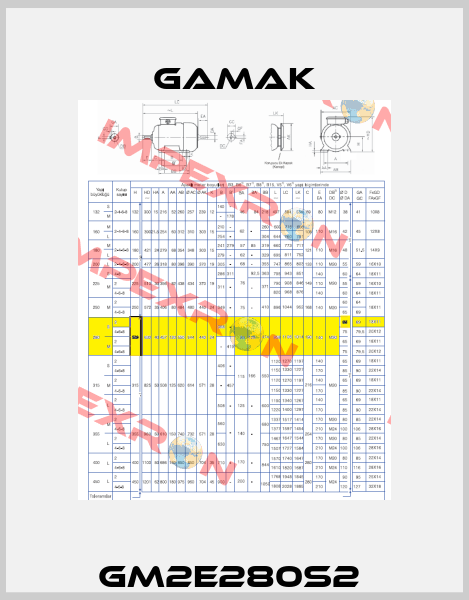 GM2E280S2  Gamak